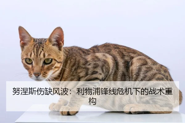 努涅斯伤缺风波：利物浦锋线危机下的战术重构