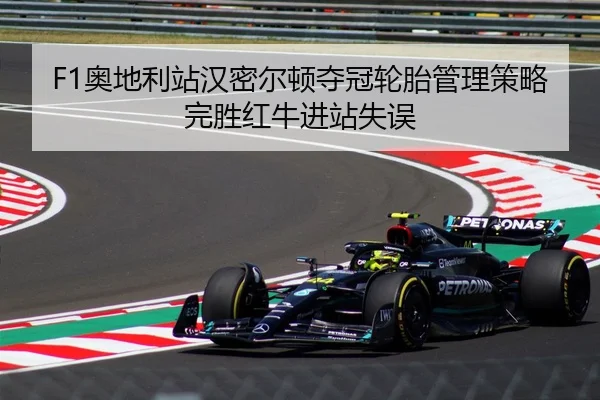 ao-di-li-zhan-han-mi-er-dun-duo-guan-lun-tai-guan-li-ce-lve-wan-sheng-hong-niu-jin-zhan-shi-wu-3-691.jpg
