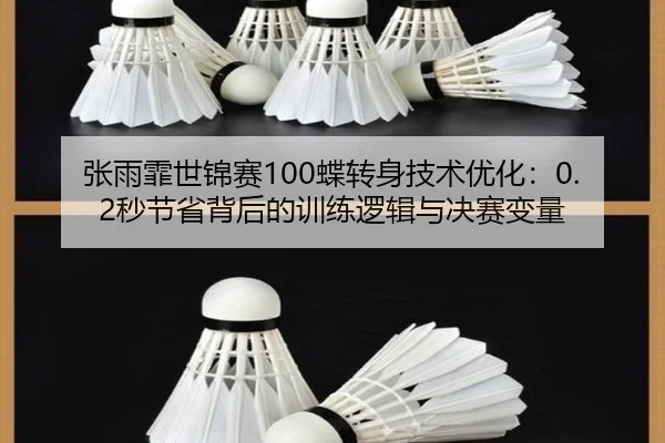 zhang-yu-fei-shi-jin-sai-die-zhuan-shen-ji-shu-you-hua-miao-jie-sheng-bei-hou-de-xun-lian-luo-ji-yu-jue-sai-bian-liang-3-221.jpg